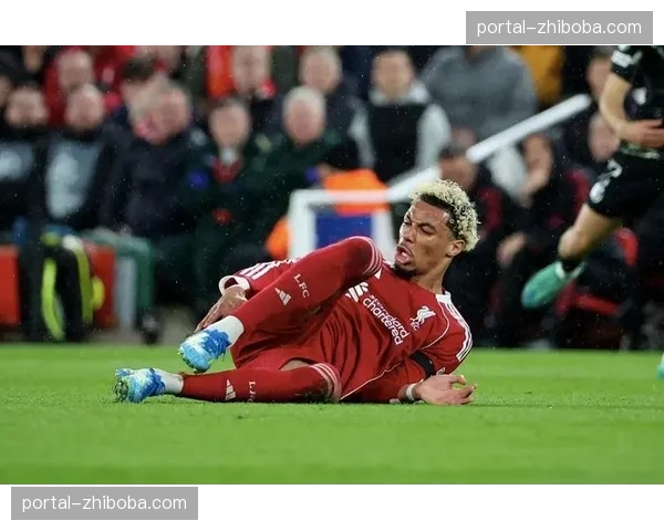 利物浦前锋埃基蒂克跟腱重伤赛季报销，锋线危机加剧